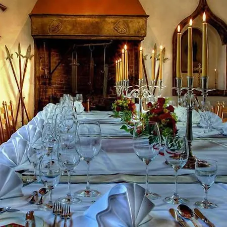 מלון Burghotel 3*