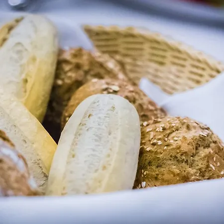 Hotel Burghotel Haselünne